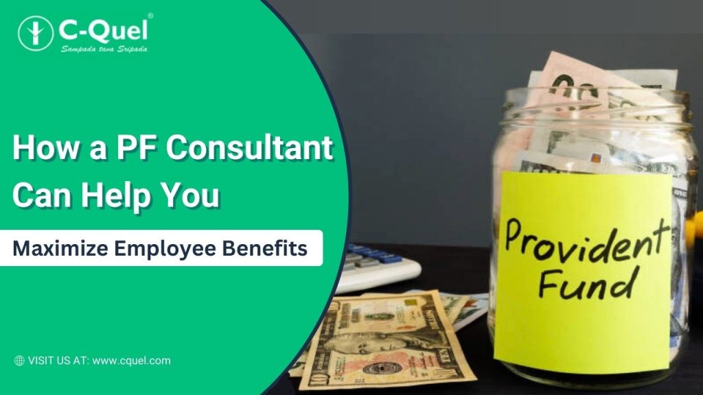How a PF Consultant Can Help You Maximize Employee Benefits