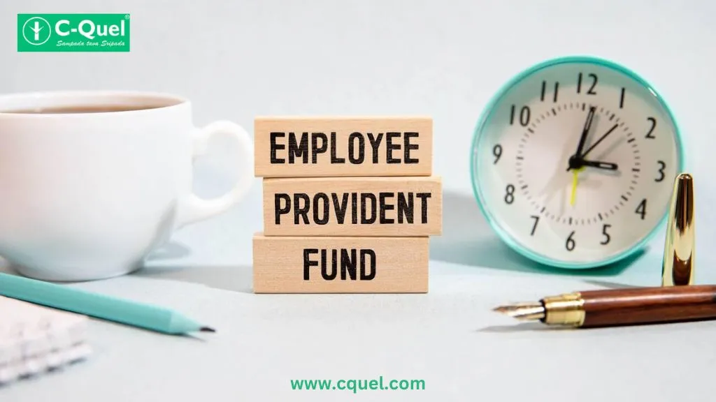 Top Provident Fund Consultant in India